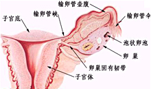 南京妇儿堂不孕不育医院健康百科