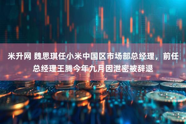 米升网 魏思琪任小米中国区市场部总经理，前任总经理王腾今年九月因泄密被辞退